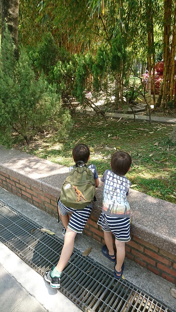 2Eks5ځIXьI(Rs[)